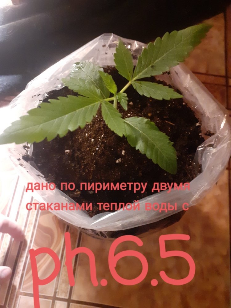 20220110_140738.jpg