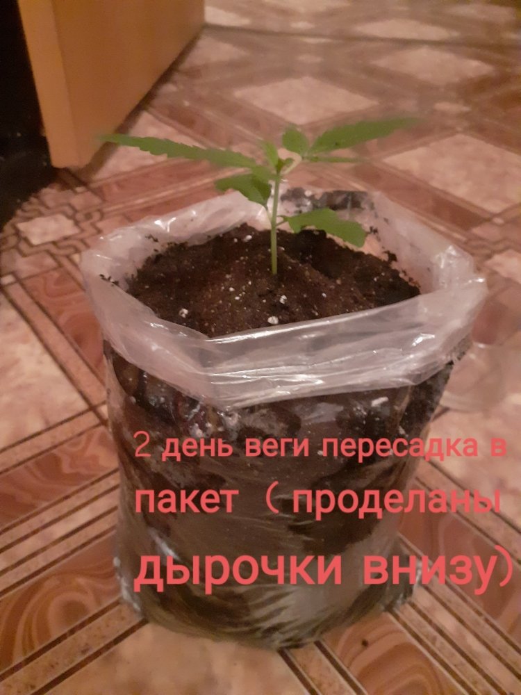 20220110_140752.jpg