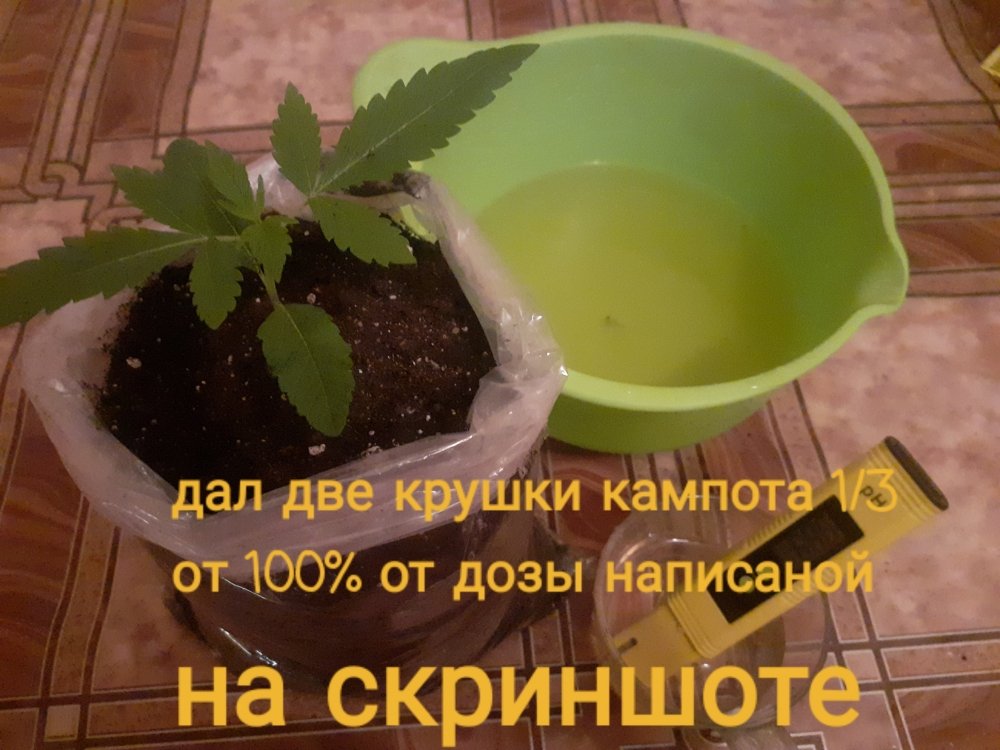 20220111_132934.jpg