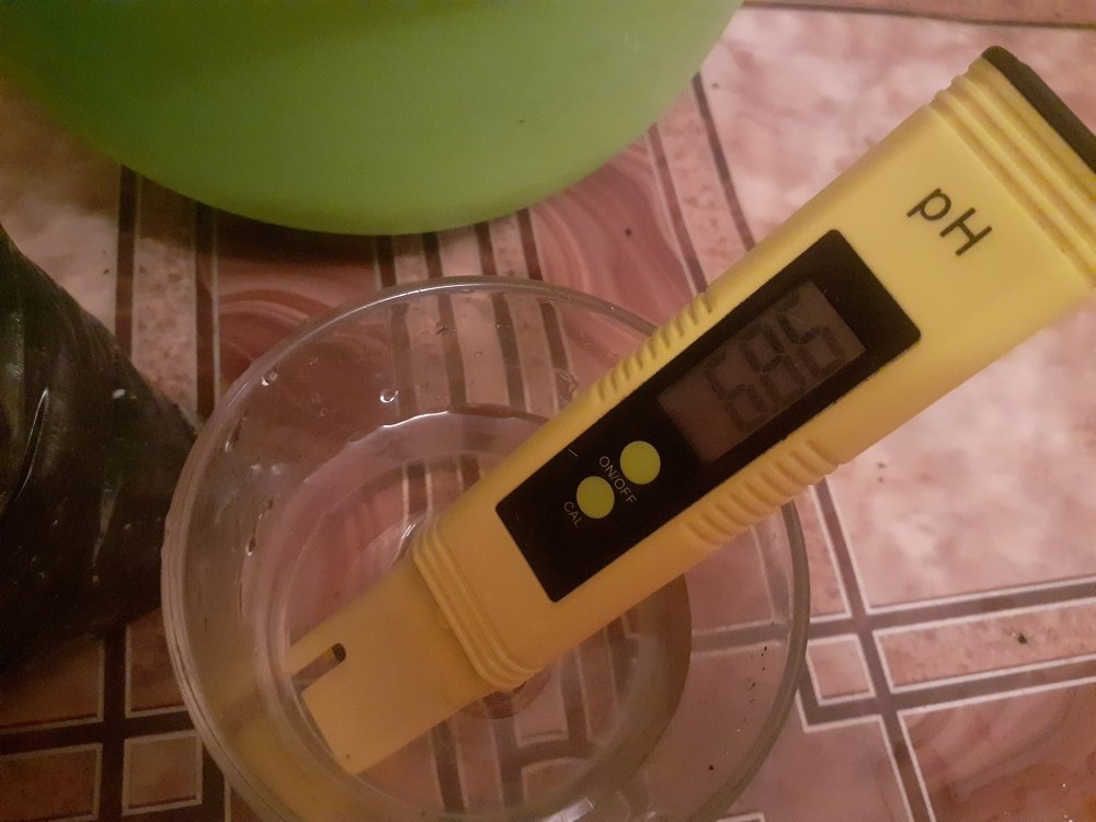 20220111_132943.jpg