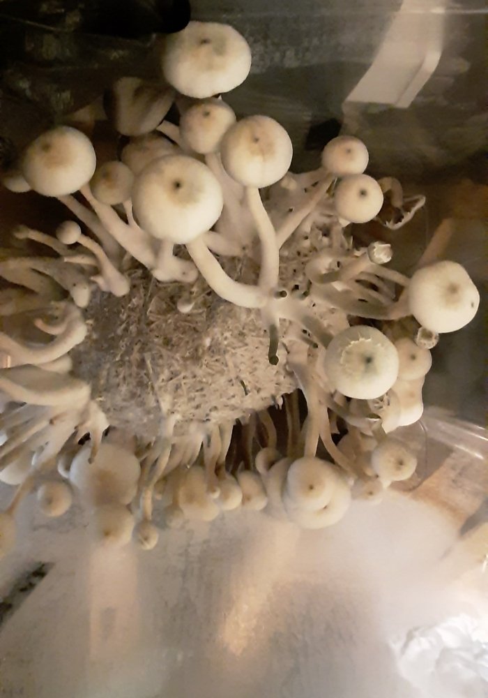 20220120_163457.jpg