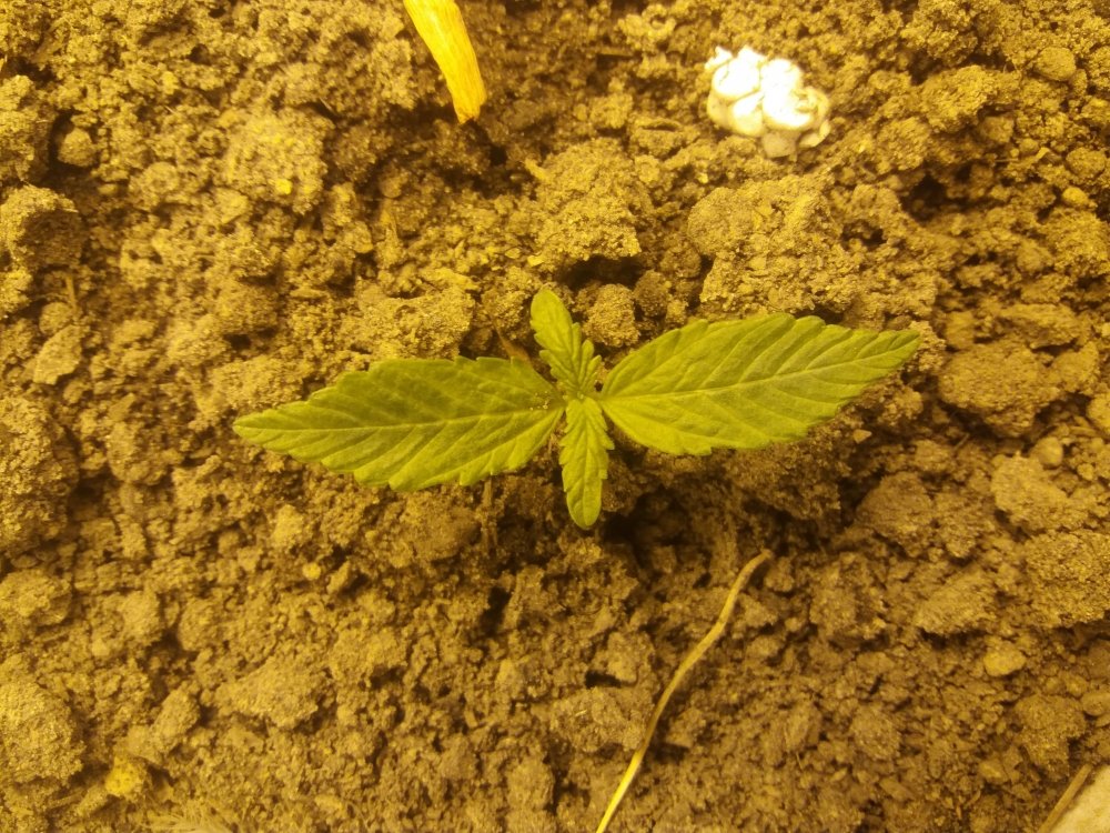 20220122_090405.jpg