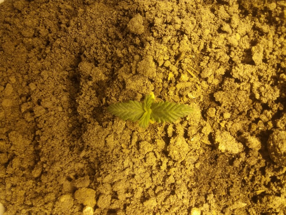20220122_090451.jpg