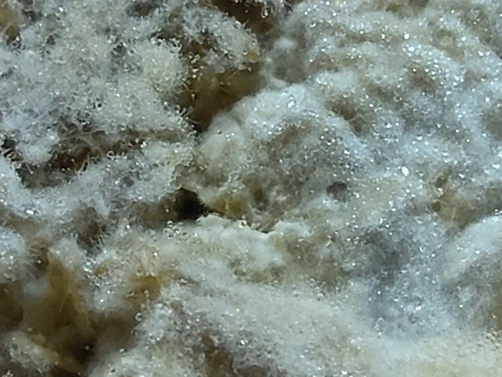 20220123_165514.thumb.jpg.c99987187e13f052001f29ae35fd8d4a.jpg