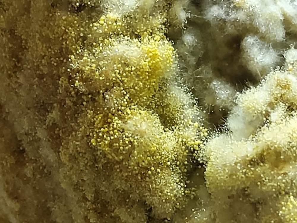 20220123_165529.jpg