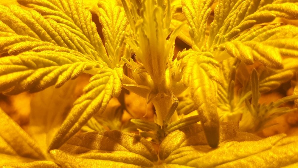 20220129_072455.jpg