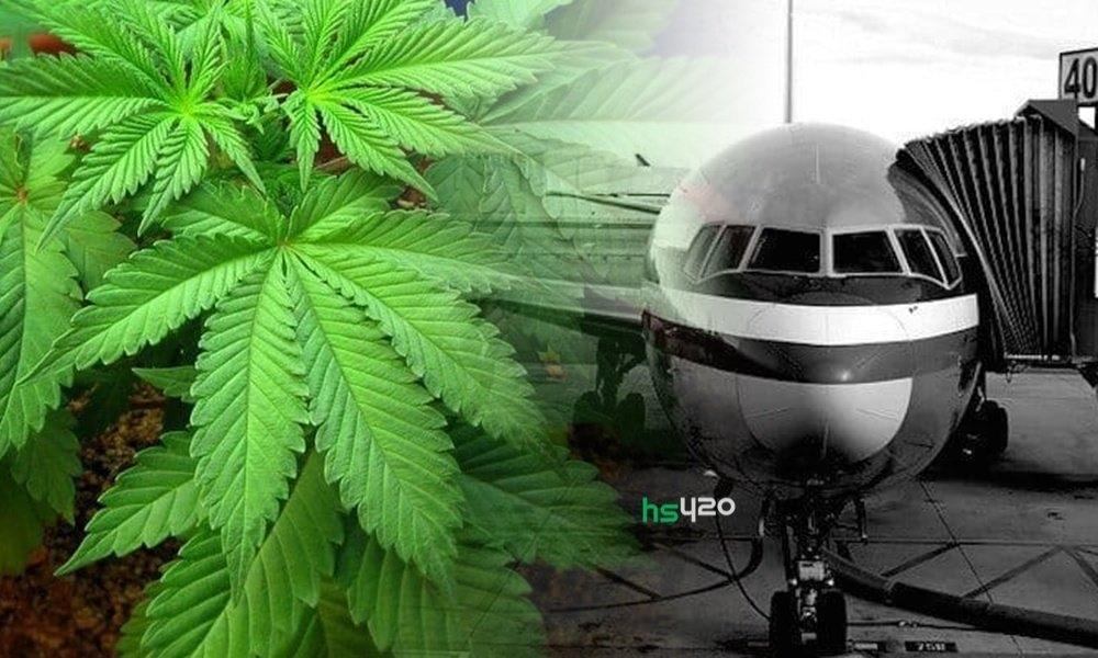 cannabis-airport-sales (1).jpg