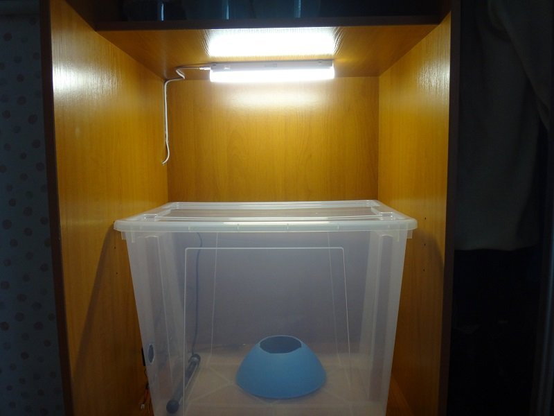 DSC05137.thumb.JPG.87cc3a6765539a0fc63e53859fbf480c.JPG