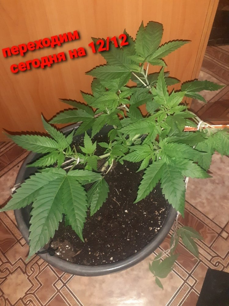 123.jpg