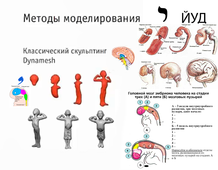 331675329_.thumb.png.22956e90d95a87e46565f4d1d624c6c9.png