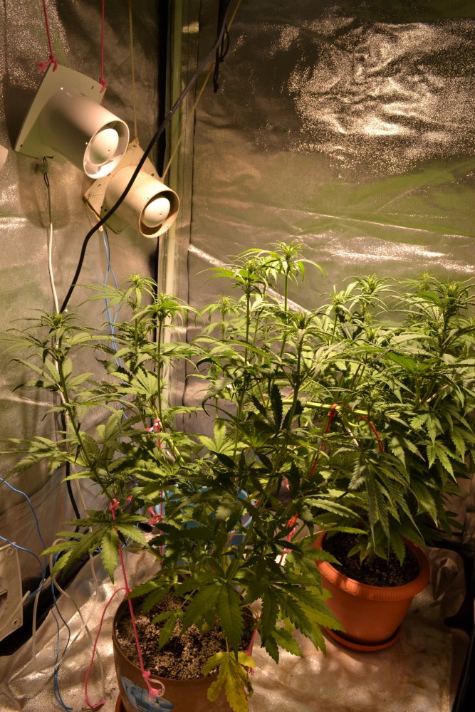DSC_0001.JPG