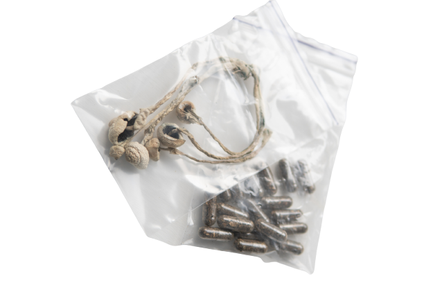 magic-mushrooms-microdose.thumb.png.f2045de52f8c9e77d284360d874ff376.png