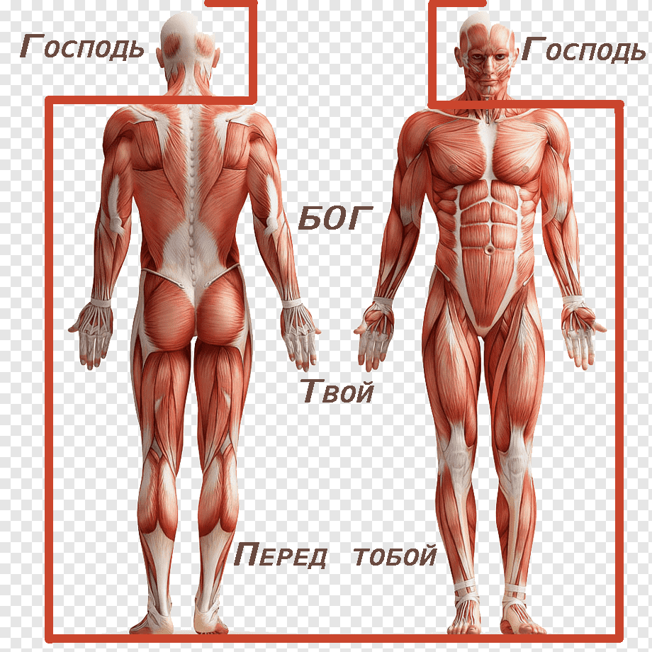 1234e.thumb.png.d2c3af7d065dc03c2ca5a555c921076c.png