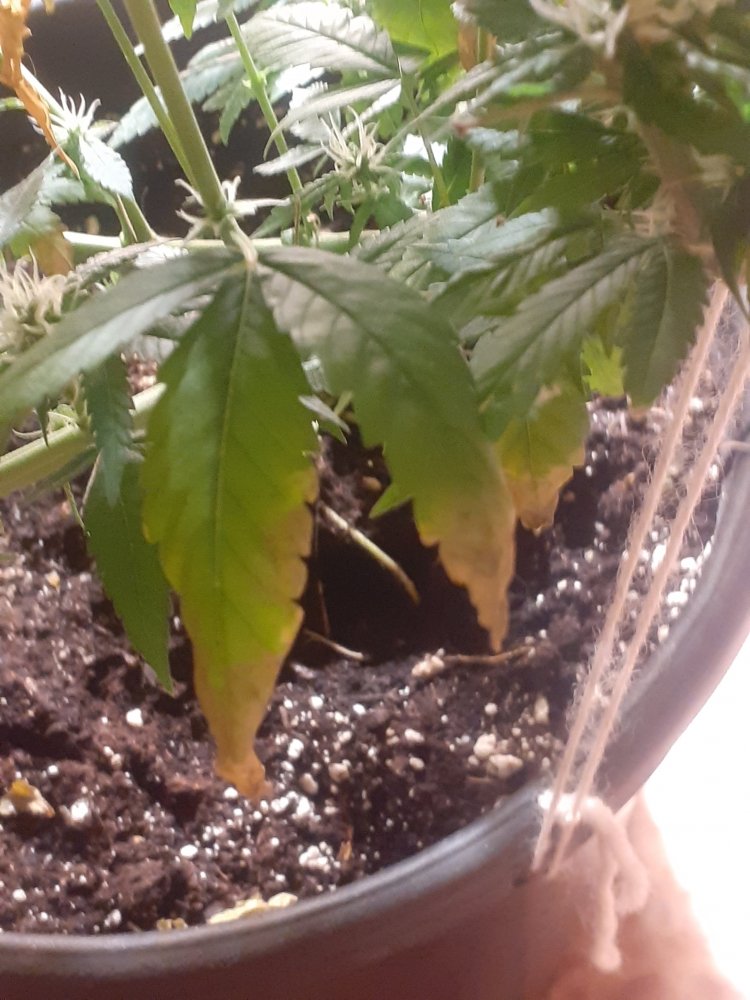 20220315_100155.jpg