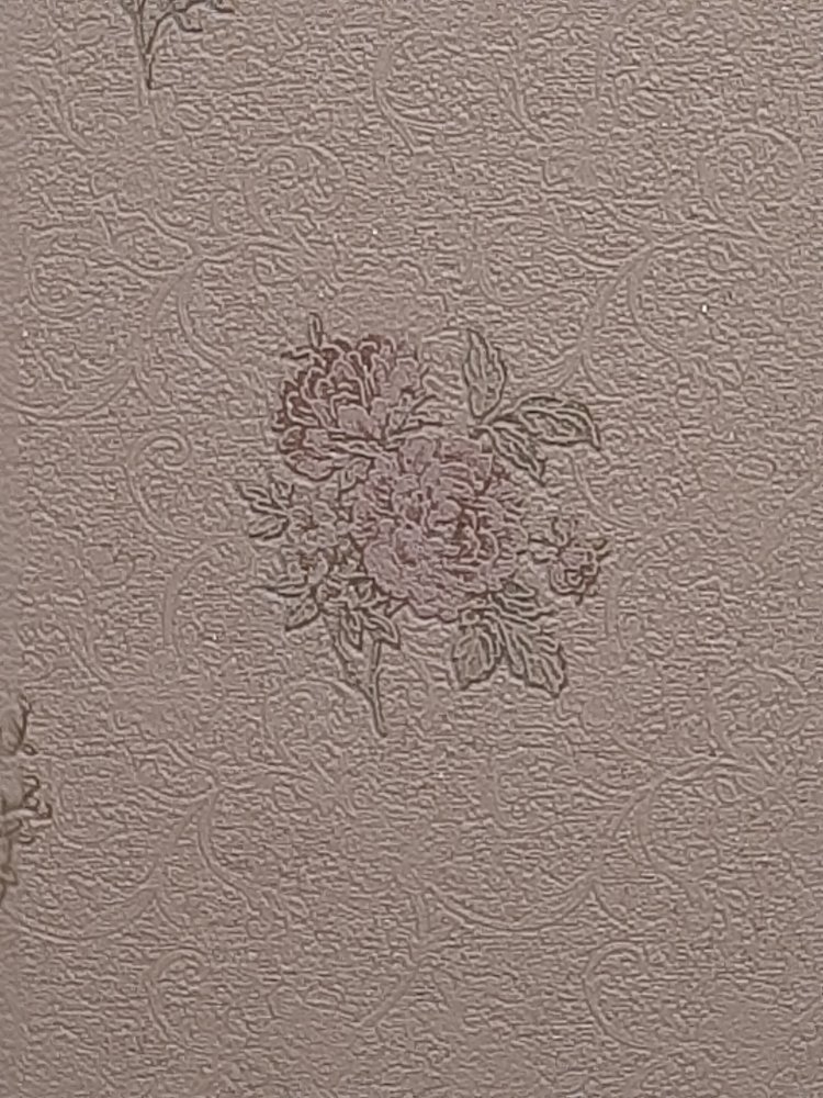20220321_000214.thumb.jpg.1b68ae96d9a518e99916152de01fbb75.jpg