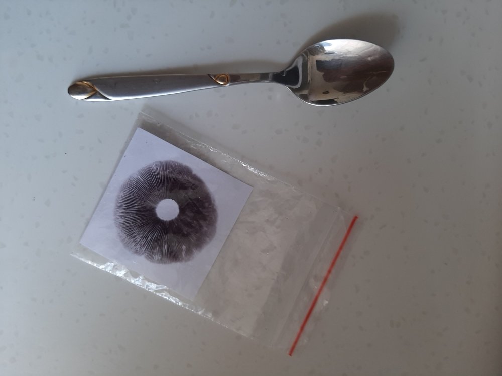 20220329_092107.thumb.jpg.93ce6790e4d2d11580cc2b1759a28a1a.jpg