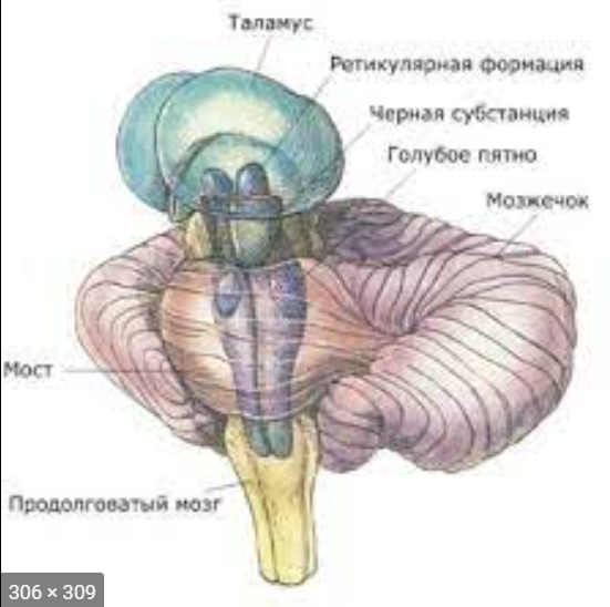 307471824_09-03-202213_13_10.thumb.png.78030398ce822d18b77eb9319b5ed121.png