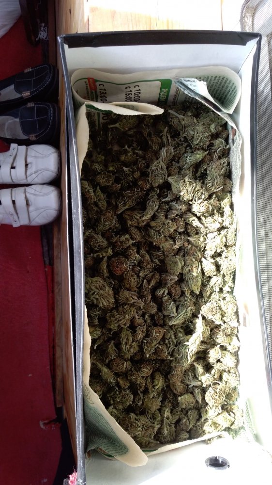 IMG-20191022-WA0000.thumb.jpeg.f76cf0cb7584b45ab050324ea8201154.jpeg