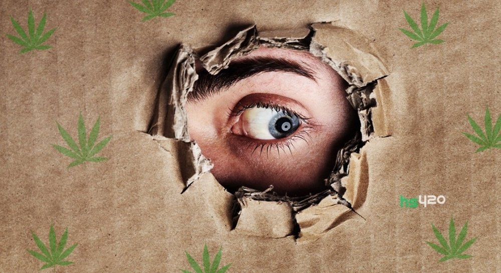 cannabis-use-paranoid-2.jpg