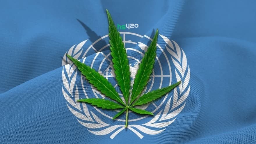 un-cannabis-2.jpg