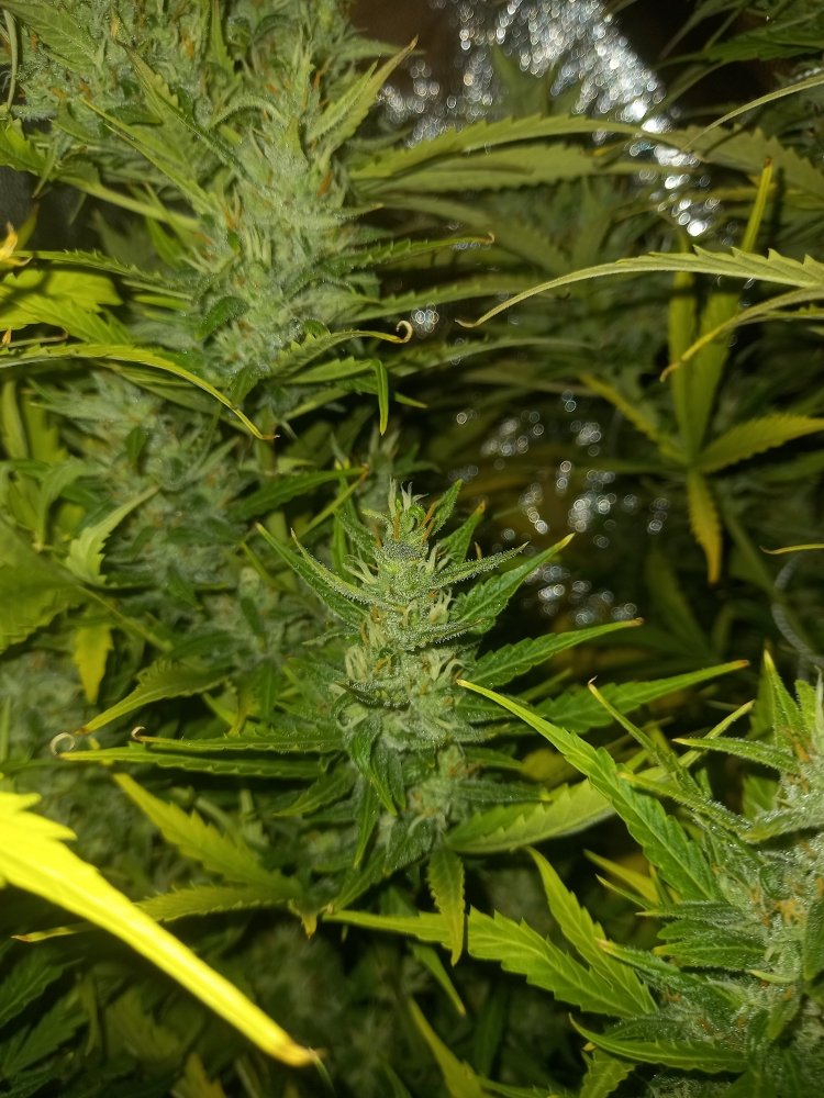 20220405_175357.jpg