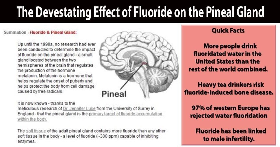 6.jpeg