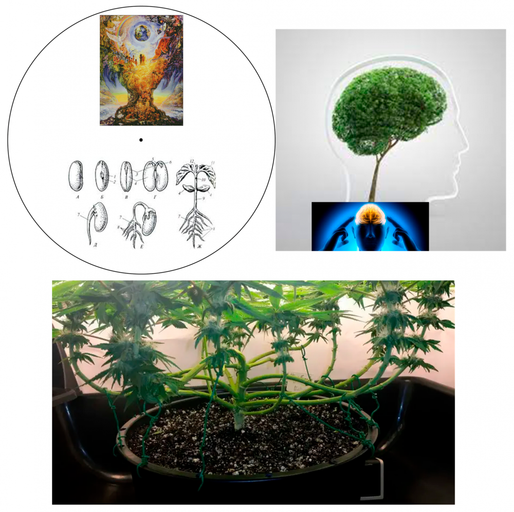 882161674_15-04-202212_14_28.thumb.png.99fad38d0158afb943ad3110de9ba584.png