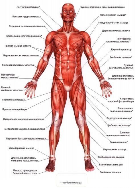 c566e7e1c13f60d830dbf3acada7b838.thumb.jpg.7ddd6549c90bc18f08eb71379bf85a1e.jpg