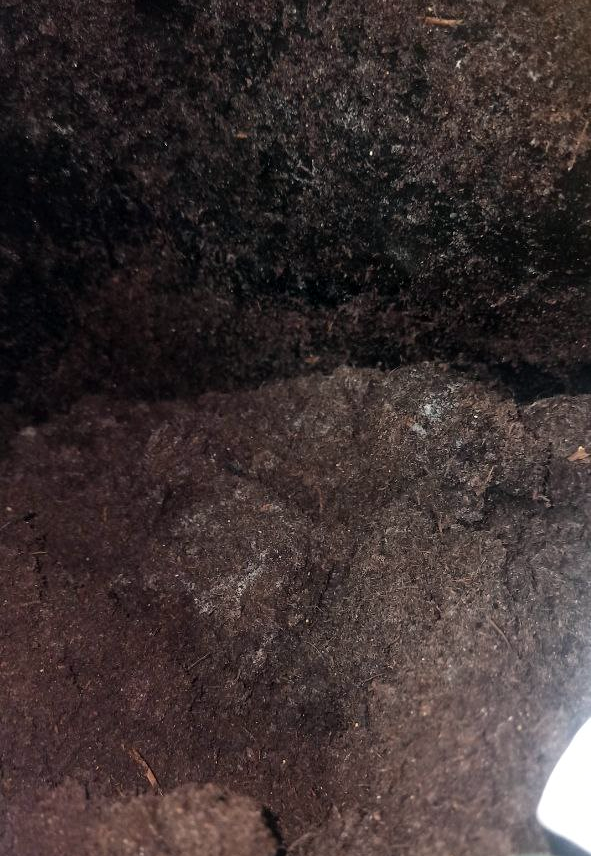 image.thumb.png.b352e453c8b03b976cd14a64375d0753.png