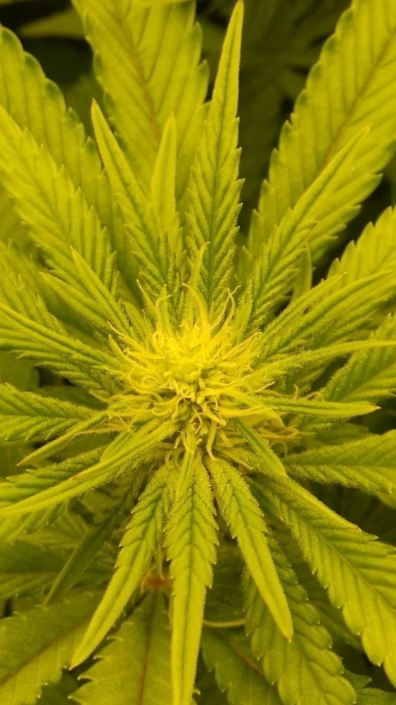 photo_2022-05-21_10-31-03 (2).jpg