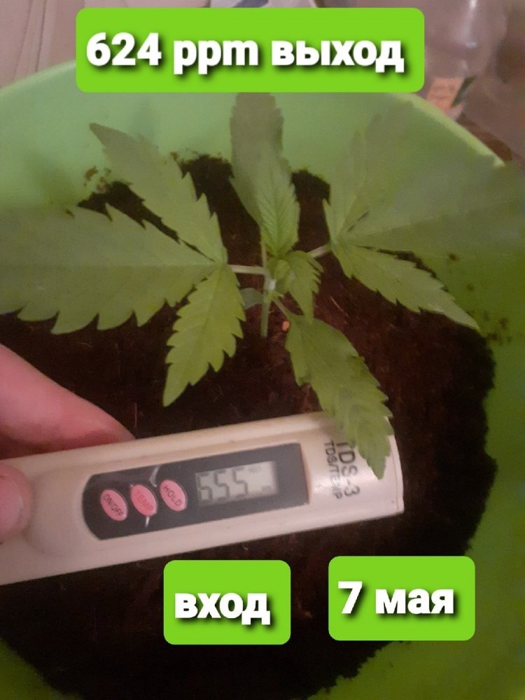 7м — копия.jpg