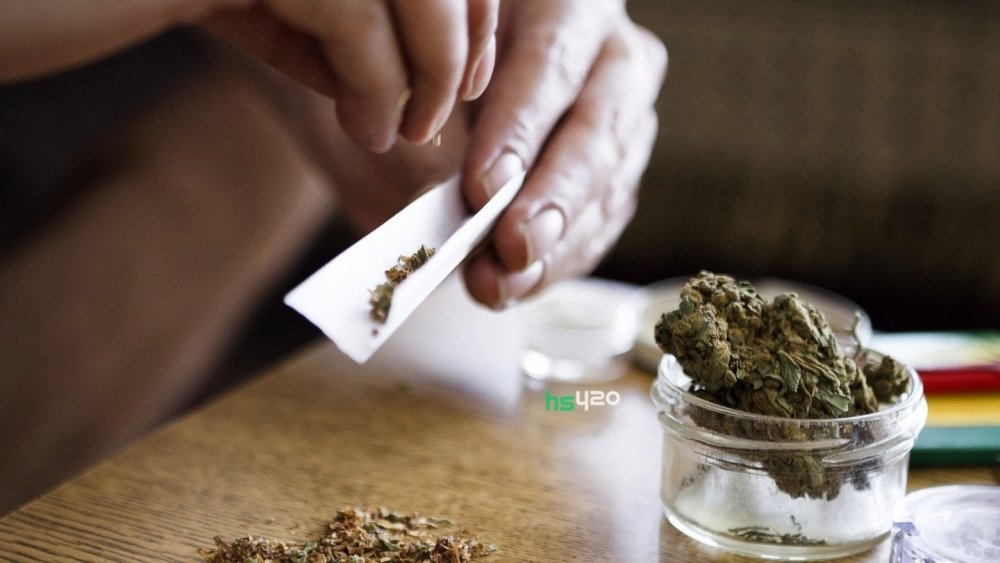 cannabis-use (1).jpg