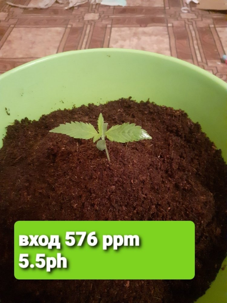 5..jpg