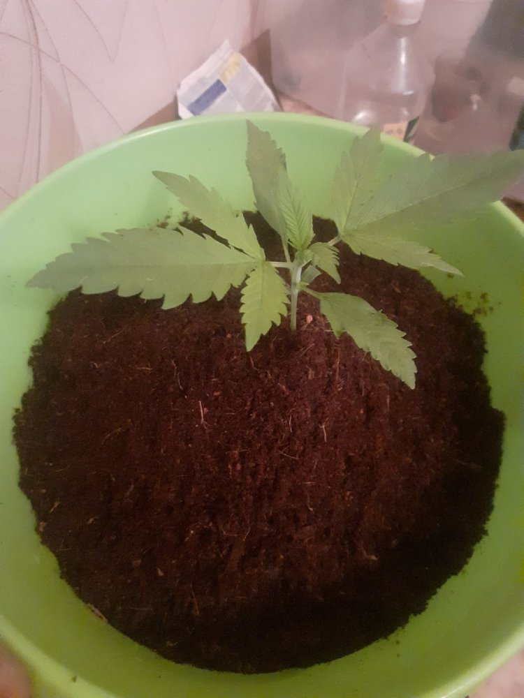 7м2 — копия.jpg