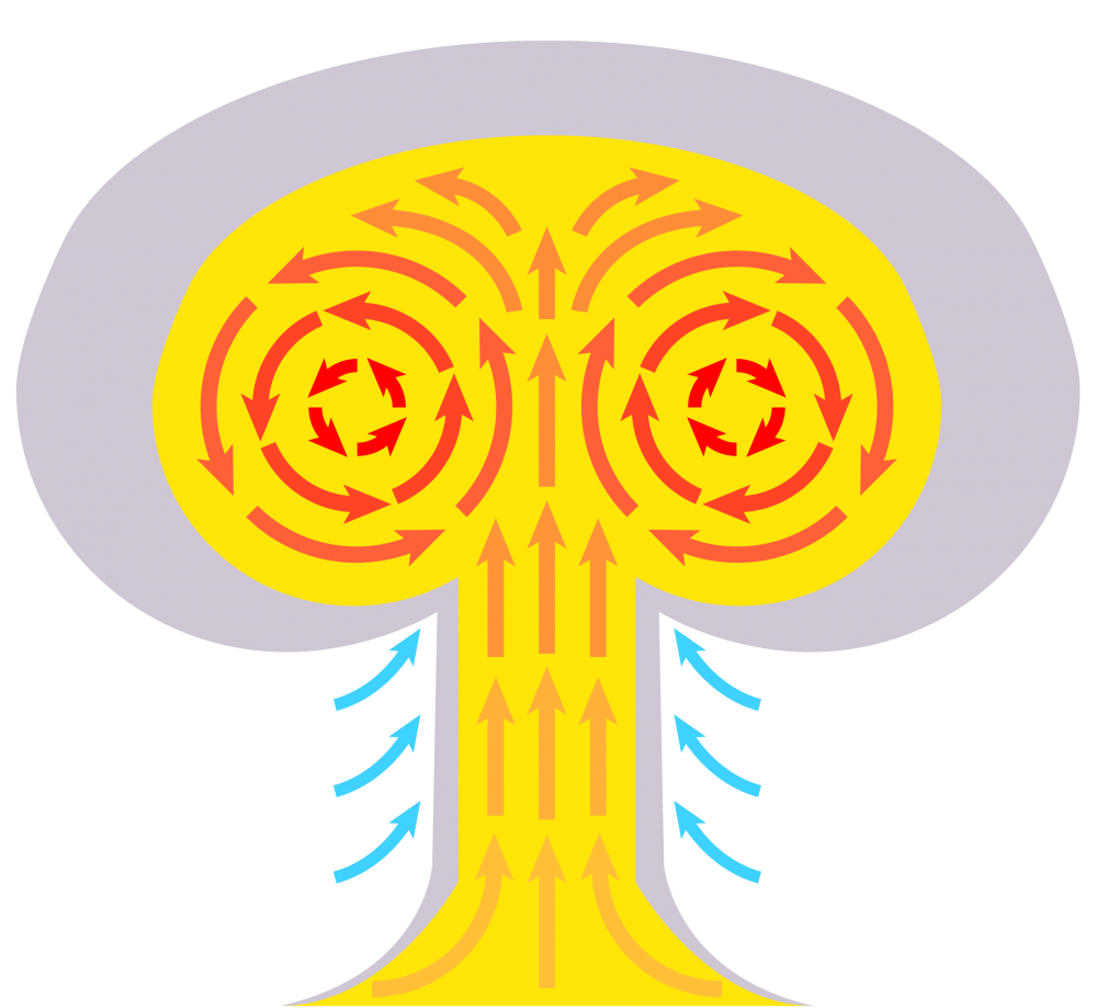 Mushroom_cloud_svg.thumb.png.8d3fea00c58594c0357d150a0272bedf.png