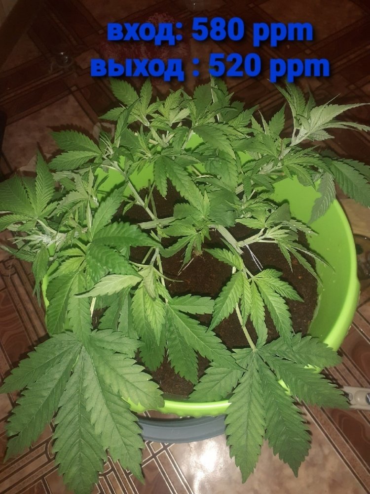 01.06.jpg