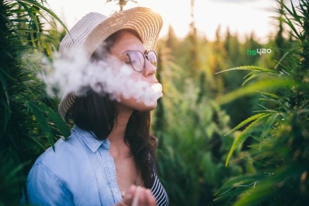 cannabis-smoke (1)-2.jpg
