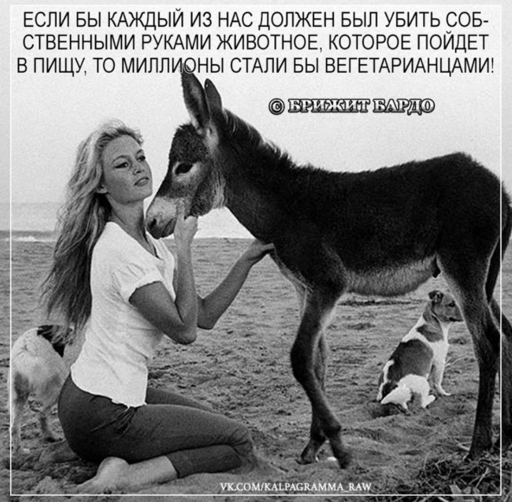 1654202379975.thumb.jpg.9af990c57637b791620f59e7d57edc41.jpg