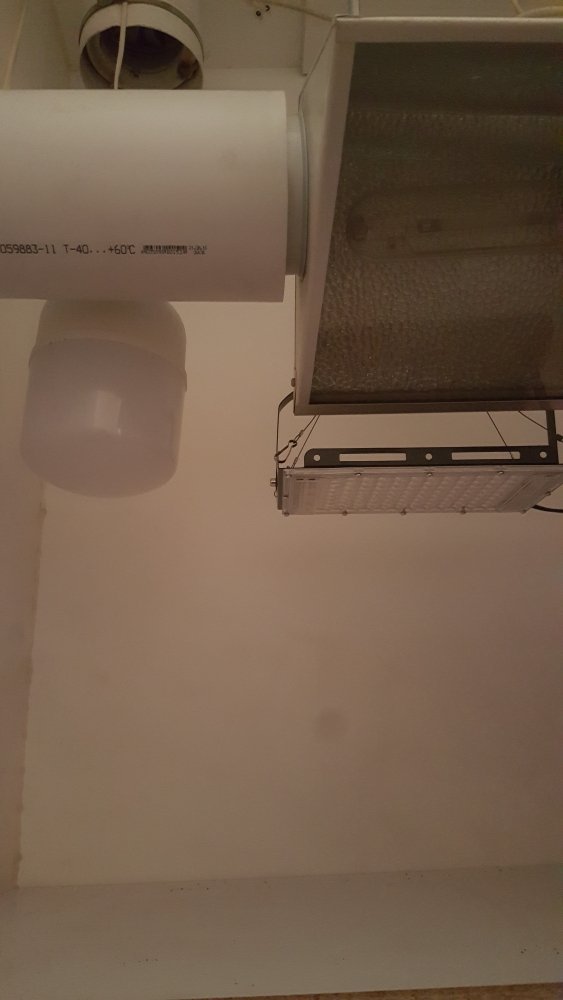 20220608_145157.thumb.jpg.803e451953db7e43408c9e548176a205.jpg