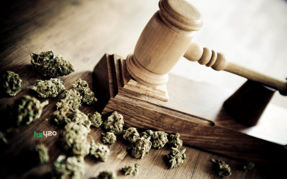 court-cannabis (1).jpg