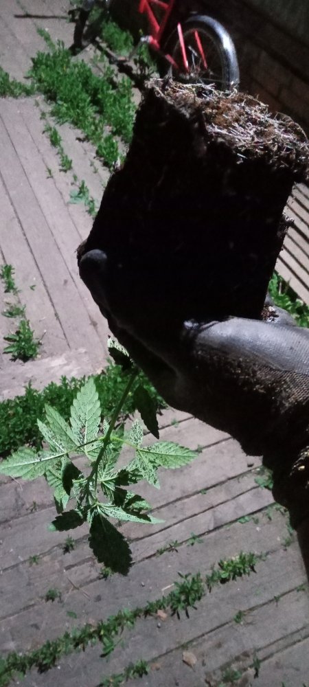 IMG20220614222815.jpg