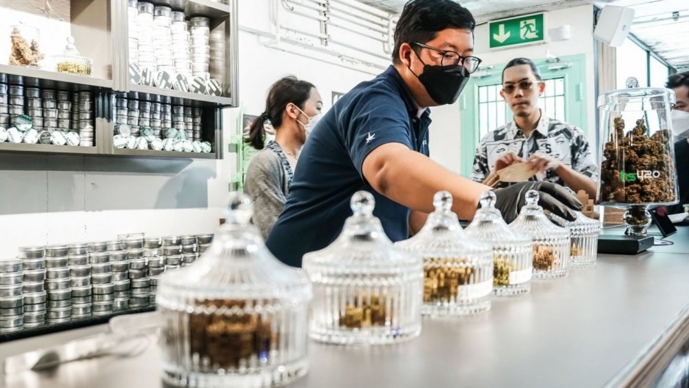 bangkok-cannabis-shop-2.jpg