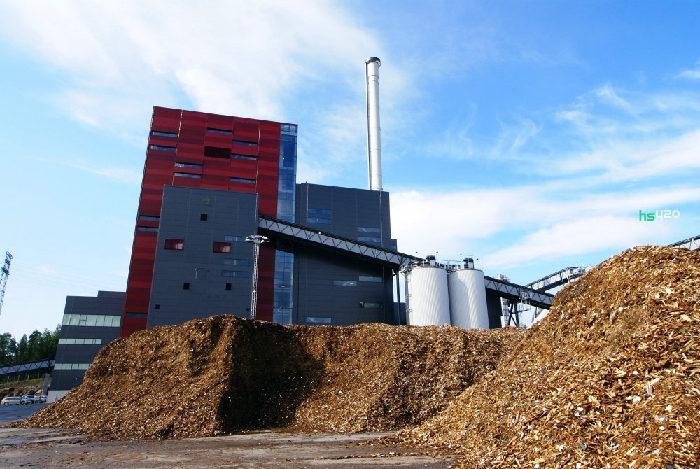 india-bio-power-plant-2.jpg