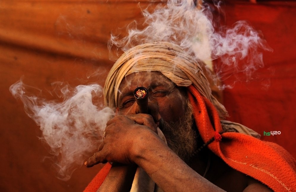 india-cannabis-use-2.jpg