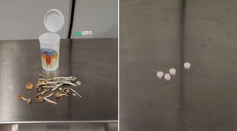 mushrooms-ecstasy-seized-2.jpg