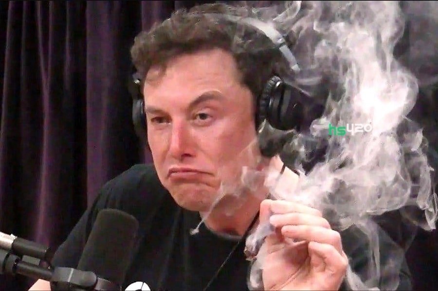 musk-smokes-cannabis-2.jpg