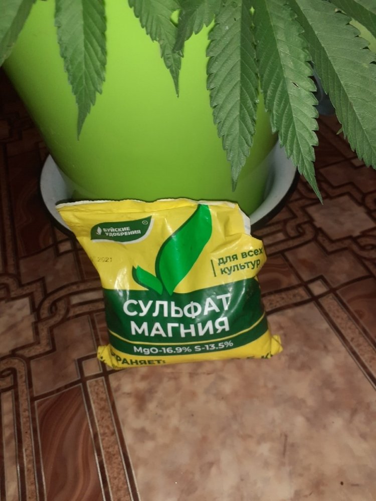 x.jpg