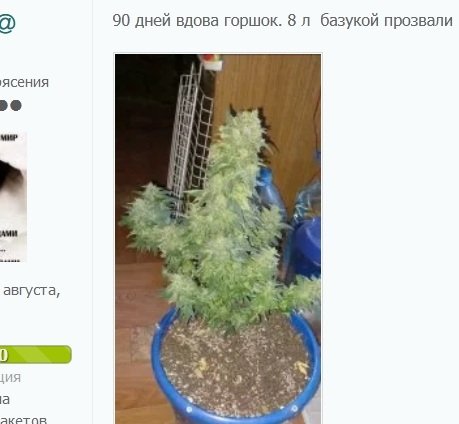 1645232695_63.jpg.ed7296ae9fe258d88bc30890aaed7cb6.jpg