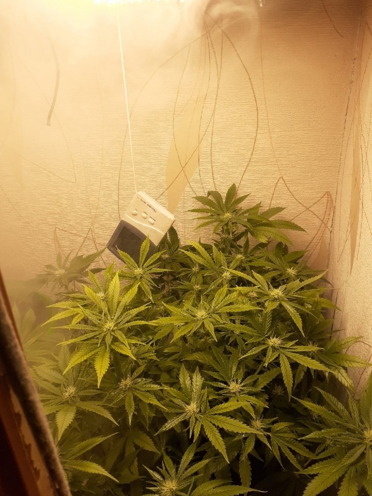 поднял выше лампу.jpg