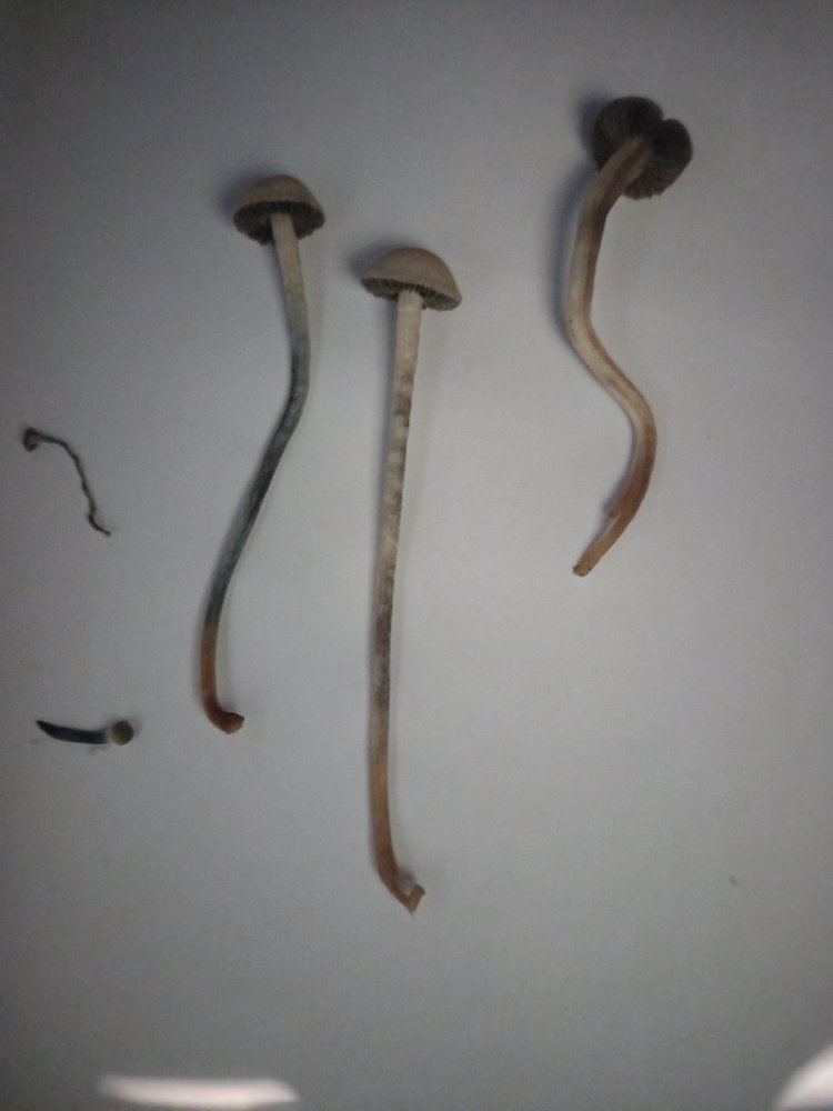20220722_183048.jpg